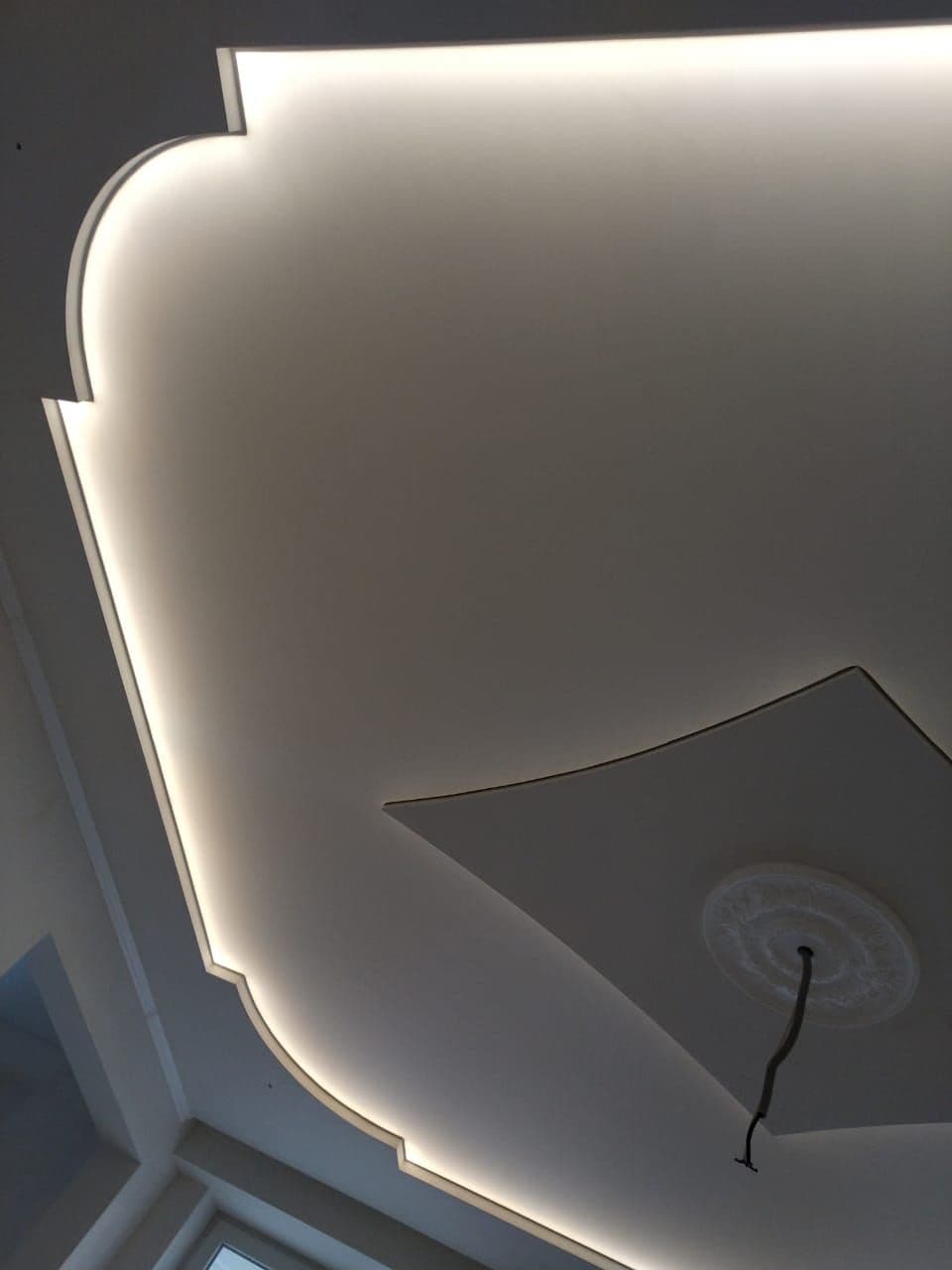 rep07_1_e208a62f66.jpg